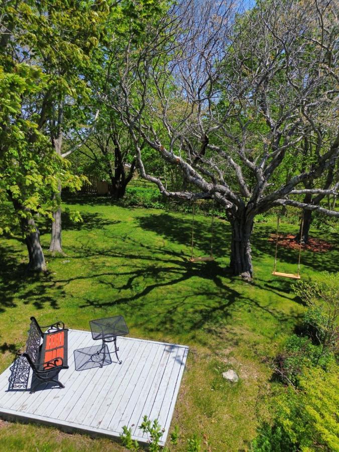 Belle View Manor Inn Harbour Grace ภายนอก รูปภาพ